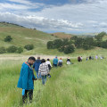 Exploring the Great Outdoors: Joining Community Groups in Contra Costa County, CA